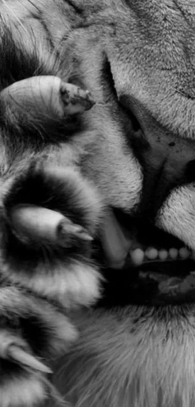Monochrome close-up of a lion's face with paw in view.