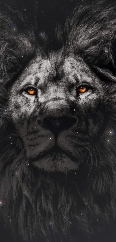 Majestic lion with glowing eyes on a dark wallpaper background.