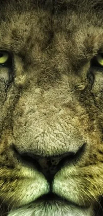 Close-up of a lion's face in high detail with earthy hues.