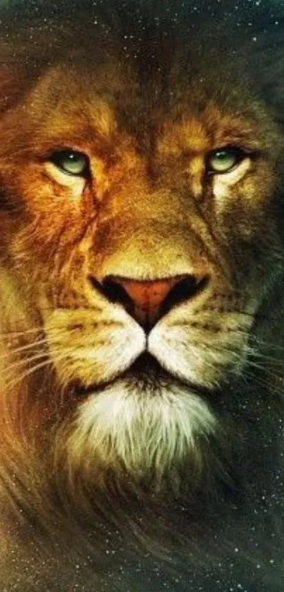 Majestic lion face with intense gaze mobile wallpaper.