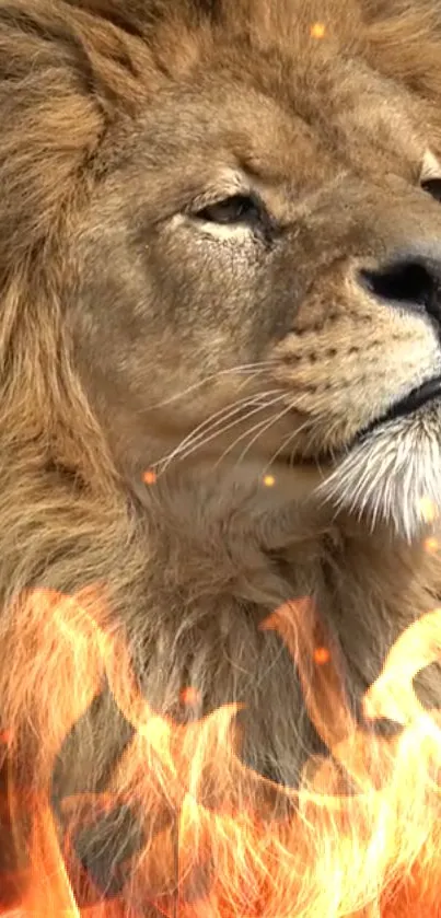 Majestic lion with fiery effects creating a powerful visual for mobile wallpaper.