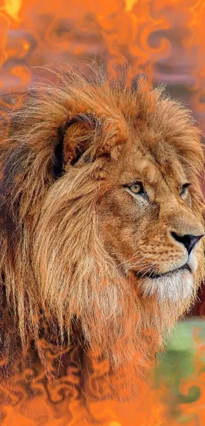 Majestic lion with fiery background in mobile wallpaper.