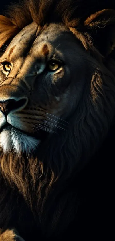 Majestic lion with a prominent mane in a dark setting mobile wallpaper.