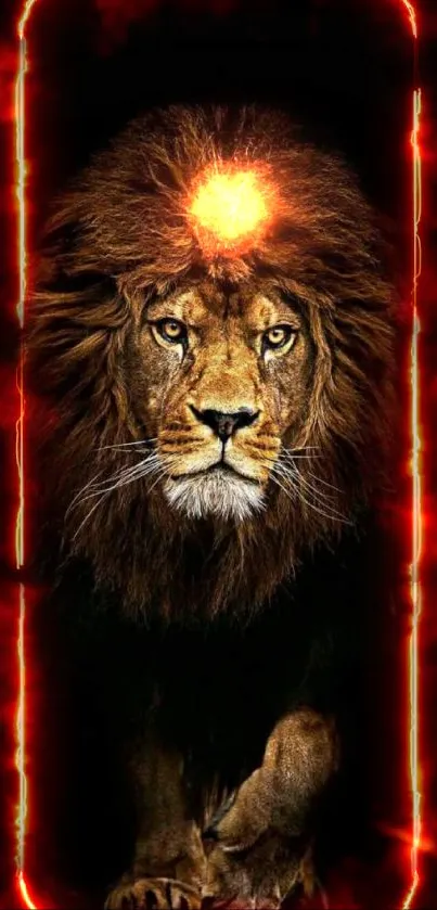 Majestic lion prowling in the dark, captured in a striking mobile wallpaper.