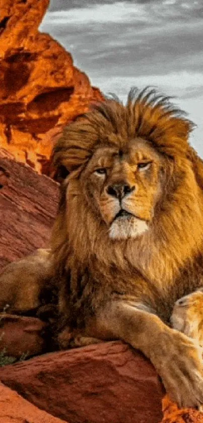 Majestic lion resting among red desert rocks, showcasing wildlife beauty.