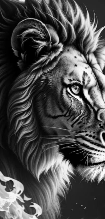 Black and white lion with flame mane wallpaper.