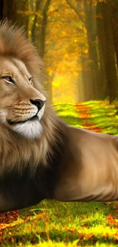 Majestic lion resting in a sunlit forest.