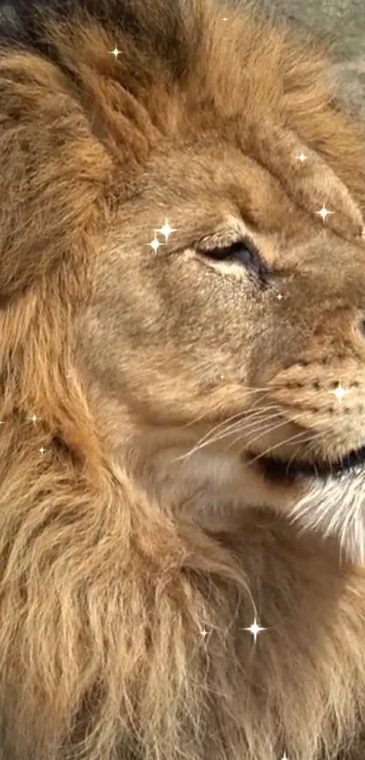 Majestic lion with a golden mane and sparkling effects in sunlight.