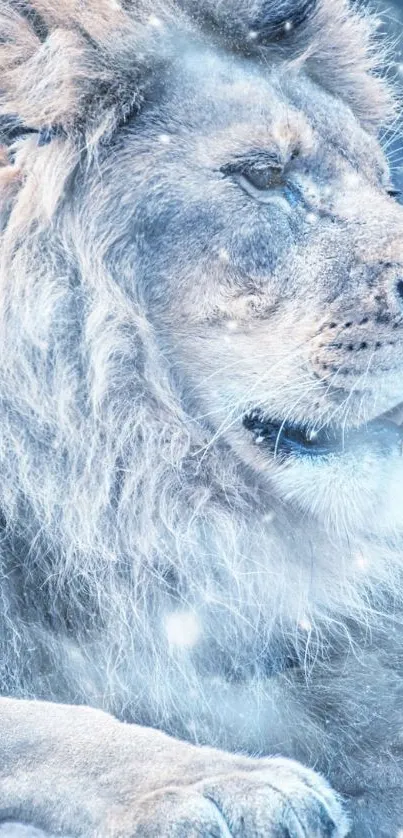 Majestic lion in snowy winter background.