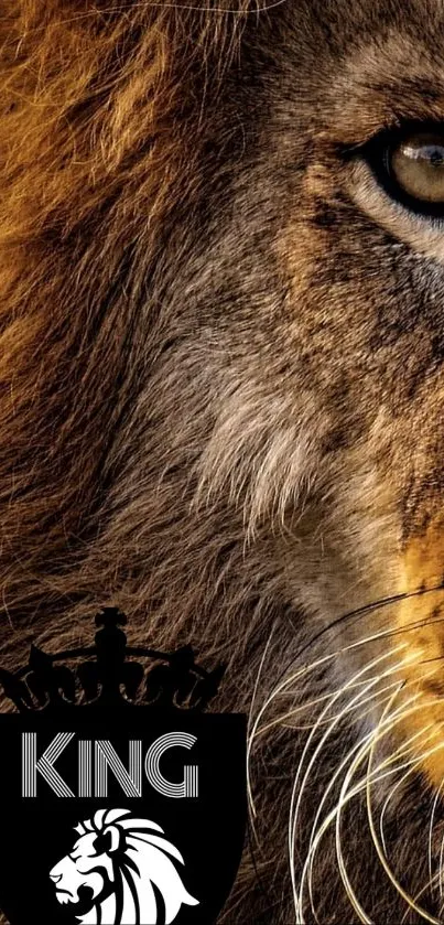 Fierce lion with 'King' emblem wallpaper.