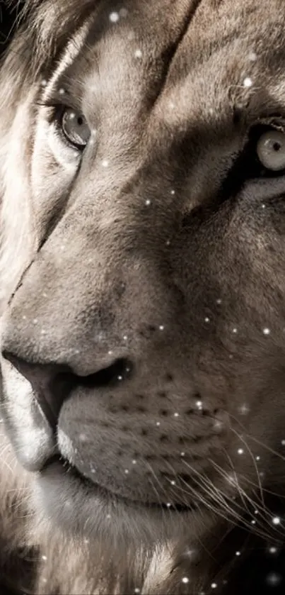 Close-up portrait of a majestic lion with sparkling light effects.