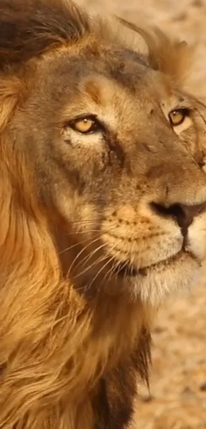 Majestic lion with golden mane in a serene natural backdrop.