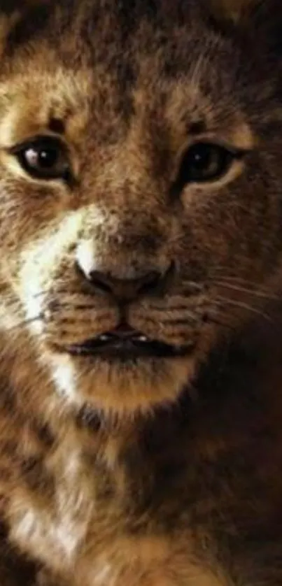 Close-up of a majestic lion's face in brown tones for mobile wallpaper.