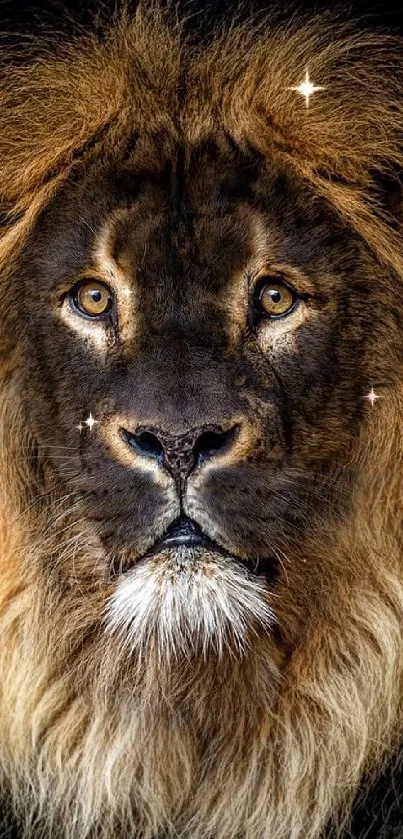 Majestic lion with a dark brown mane and intense gaze, perfect for mobile wallpaper.