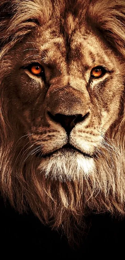 Majestic lion with vibrant eyes in stunning mobile wallpaper.