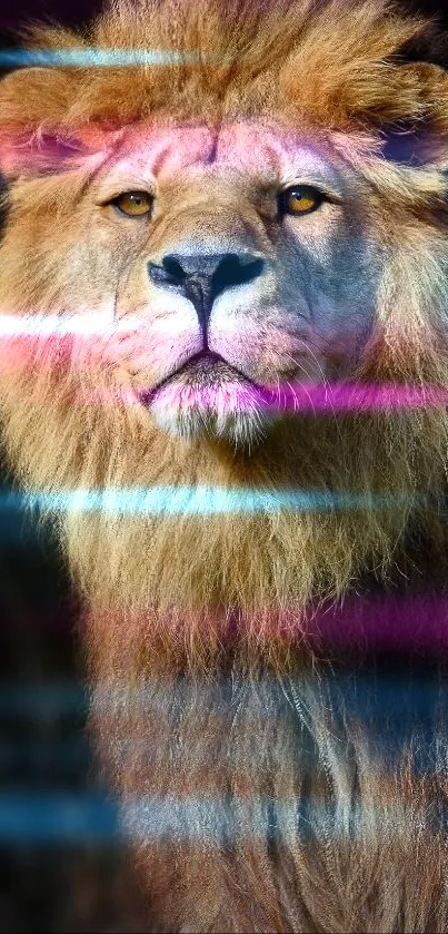 Majestic lion standing strong against a dark background.