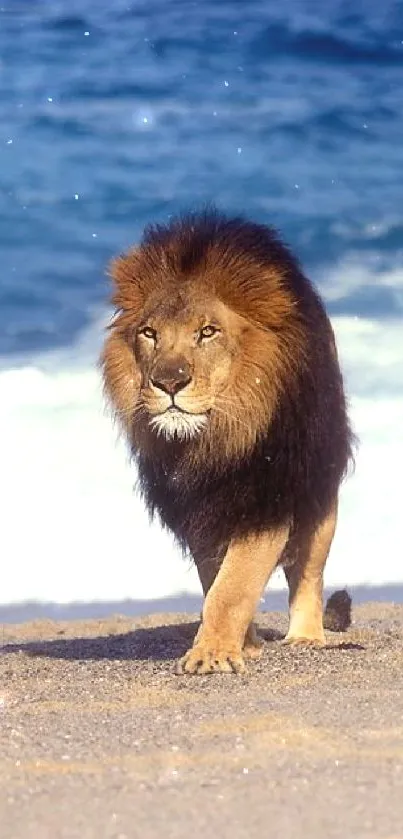 Majestic lion walking along a serene beach with ocean waves.