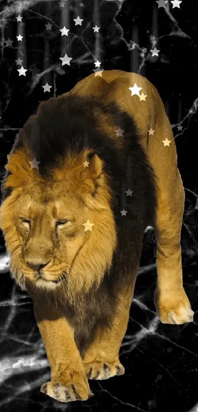 Majestic lion on dark marble background wallpaper.