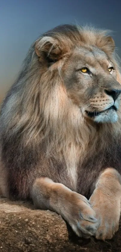 Majestic lion resting on a rocky ledge, set against a serene backdrop.