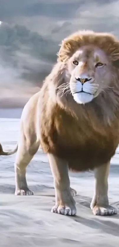 Majestic lion standing on a snowy landscape with a dramatic gray sky.