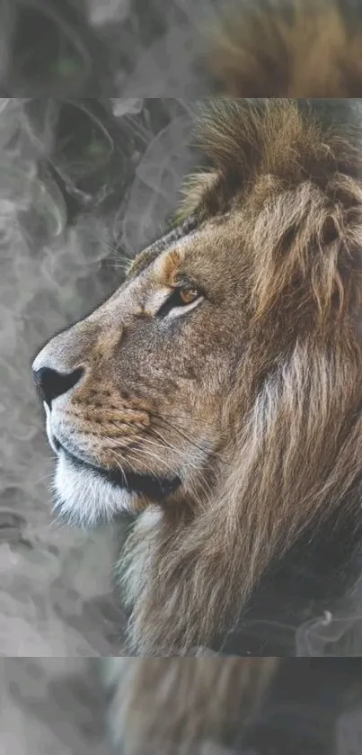 Majestic lion close-up with smoky background.