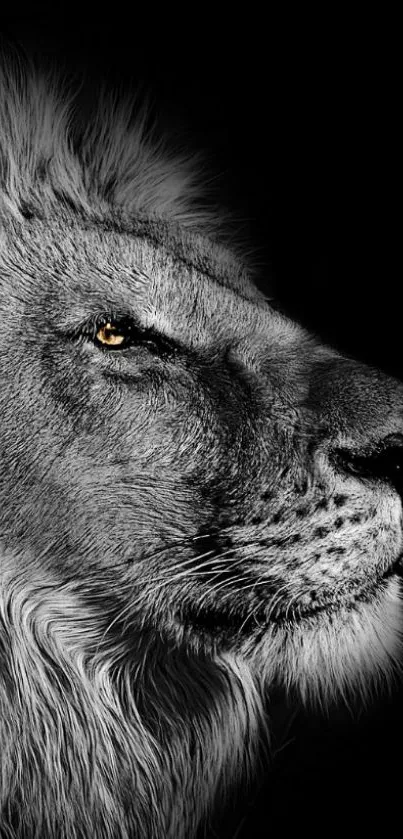 Grayscale lion portrait with a striking golden eye on black background.