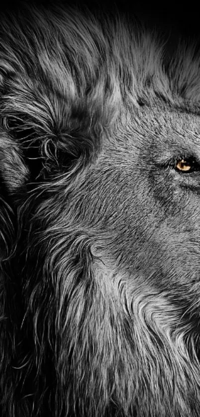 Black and white lion profile for mobile wallpaper.