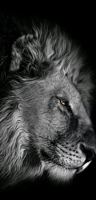 Detailed side view of a majestic lion on a dark background.