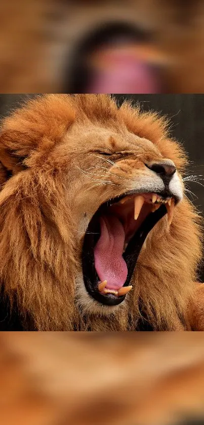 Majestic lion roaring in a natural setting.