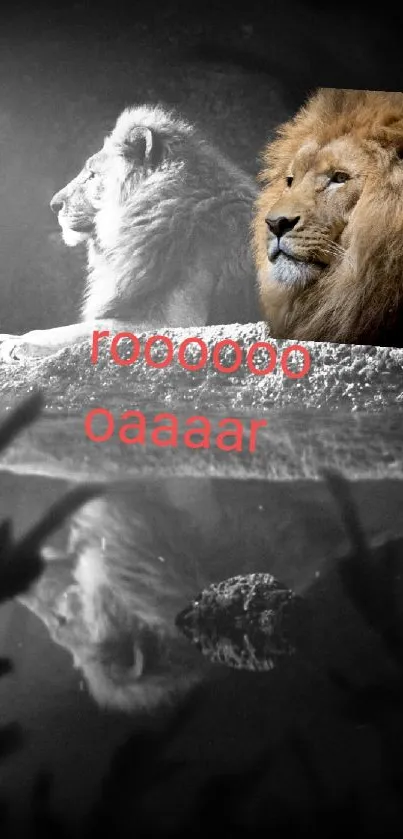 Majestic lion with reflection roaring on a dark, artistic mobile wallpaper.