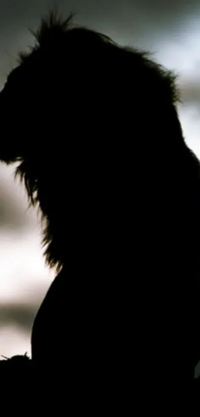 Silhouette of a majestic lion against a cloudy sky.