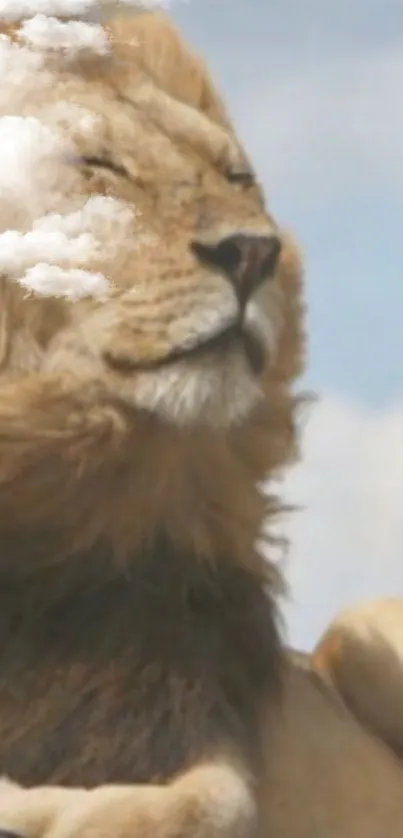 Majestic lion with clouds in mane on mobile wallpaper.