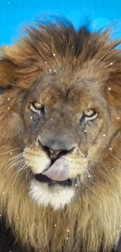 Majestic lion with sparkling effect on a blue background.