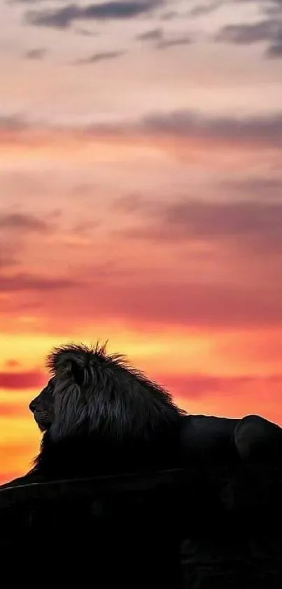 Lion silhouette against a vibrant sunset sky.