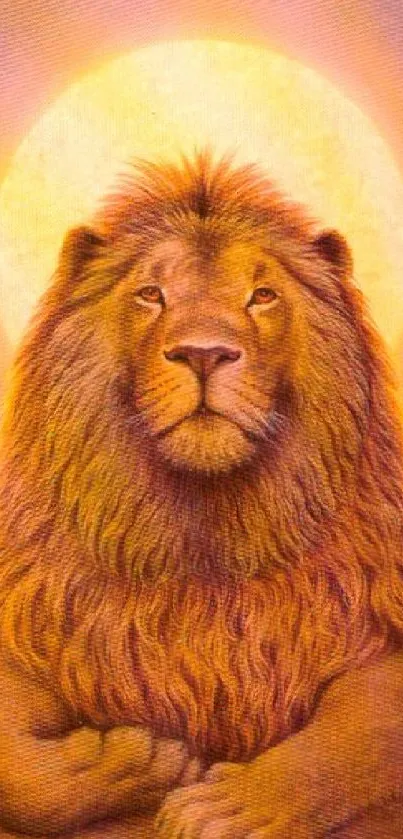 Majestic lion under golden sunset, mobile wallpaper.