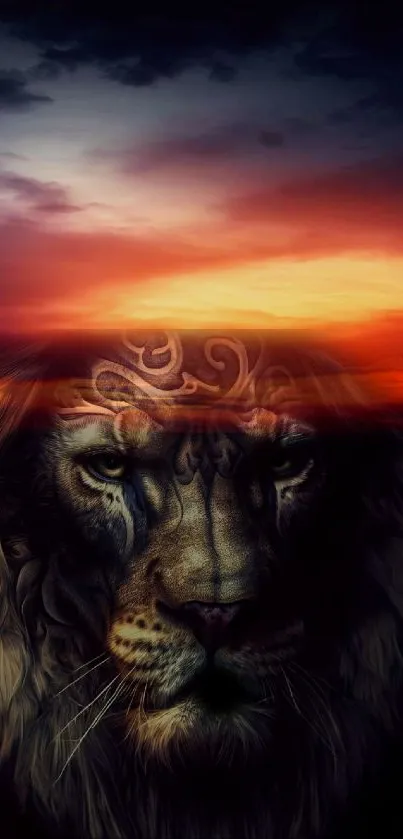 Lion under a vibrant sunset sky wallpaper