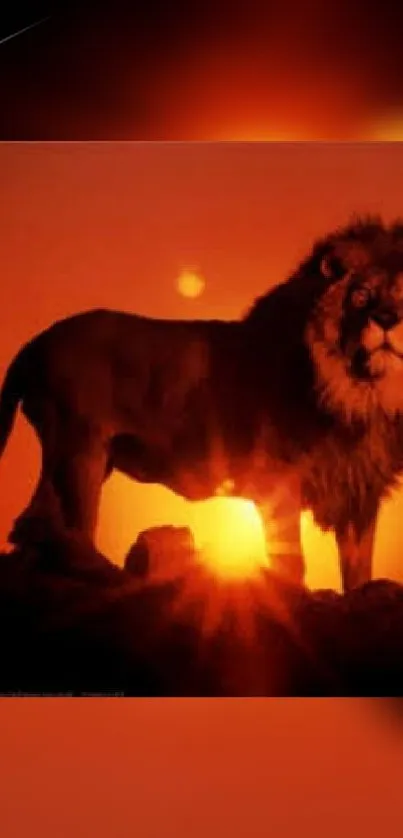 Lion silhouetted against a glowing sunset.