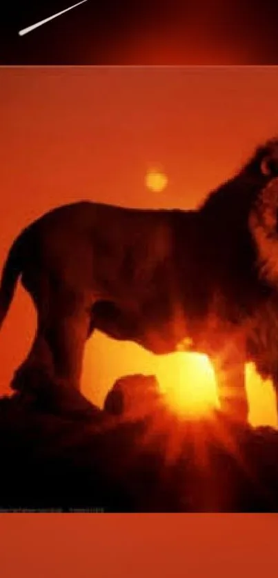 Majestic lion in vibrant sunset silhouetted against an orange sky.