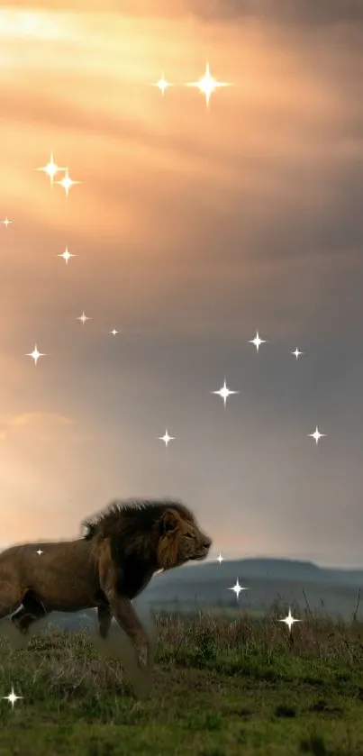 Lion under evening sky with stars and warm sunset glow.