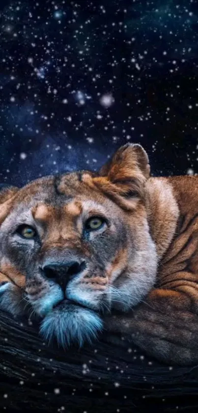 Lion rests under a starry night sky in stunning wallpaper.