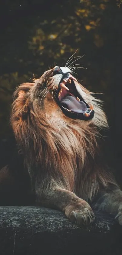 Majestic lion roaring in the wild, capturing strength and nature's beauty.