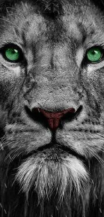 Black and white lion with green eyes, a stunning mobile wallpaper.