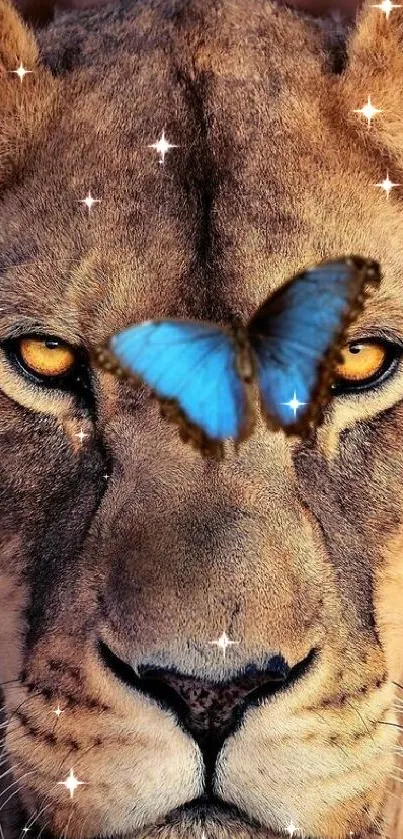 Lion with blue butterfly on forehead, nature art wallpaper.