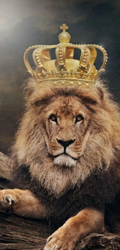 Majestic lion wearing a crown resting on a log with a dark, atmospheric background.