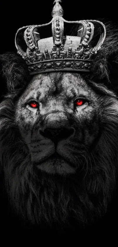 Majestic lion with crown on black background.