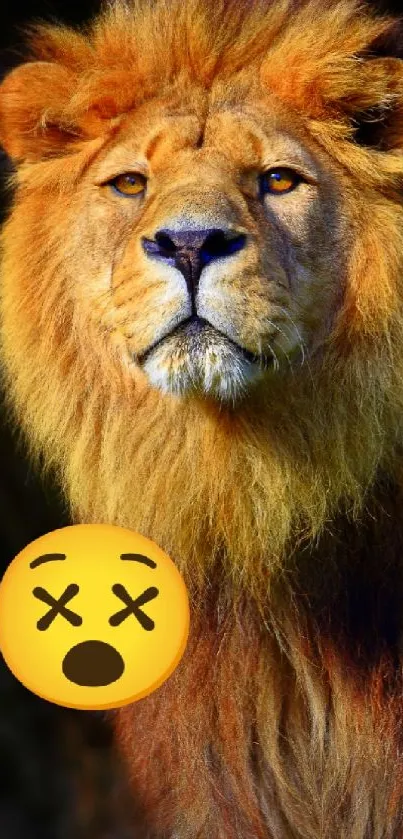 Lion with expressive emoji wallpaper