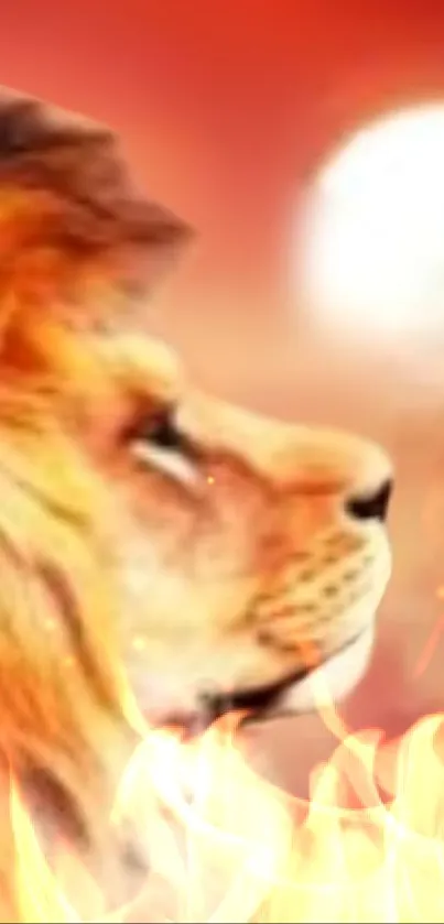 Lion against fiery red orange background with flames.