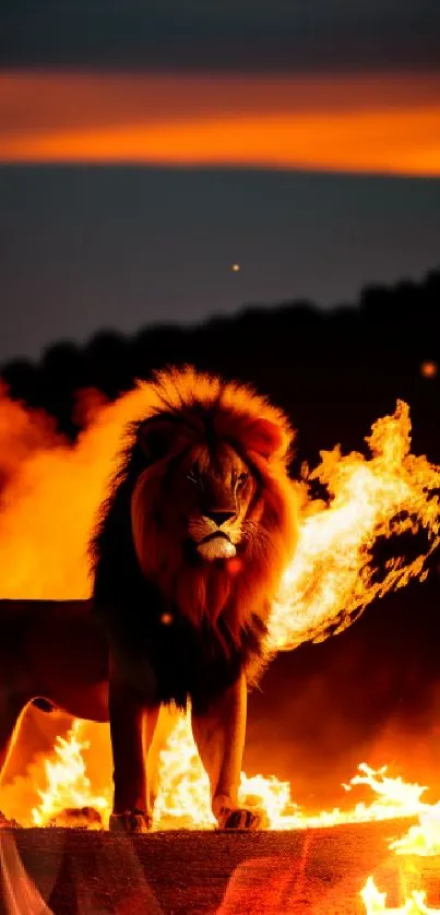 Majestic lion standing proudly amidst fiery flames in a stunning mobile wallpaper.