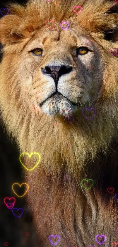 Majestic lion with colorful heart lights overlay.