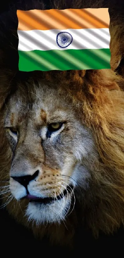 Majestic lion with Indian flag on mane in mobile wallpaper.